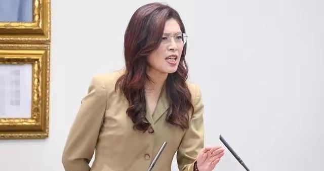 党内提案定死期限！2028年大选结束，郑丽文无论输赢都要交权不少人以为国民