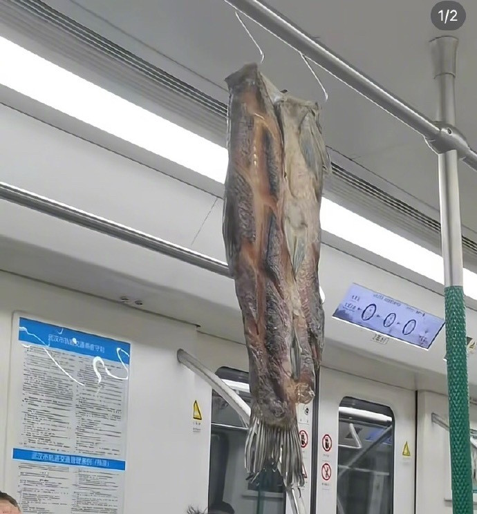 地铁上刷新野生鱼获了耶