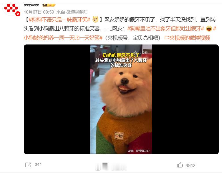 奶奶假牙不见小狗露八颗牙我朋友，南京土著，家里那条狗是只串串，她说这事搁她妈身
