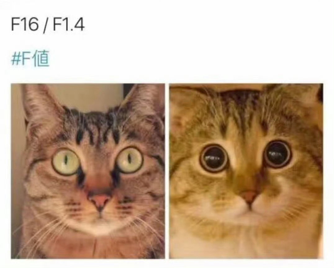 F16和F1.4的区别：