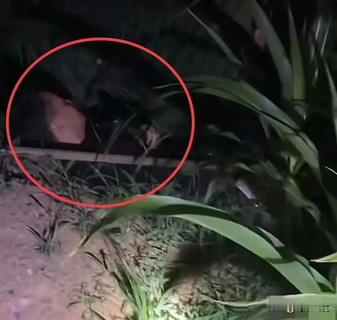 一对中年夫妻夜晚在田里浇地，休息的时候妻子突然发现丈夫不见了！妻子到处找十几
