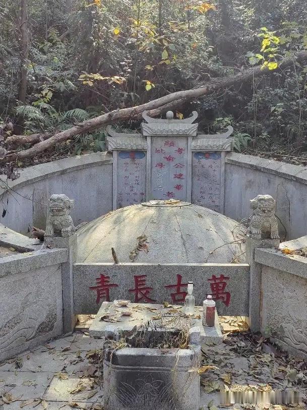 长沙寨子岭森林公园一日游保姆级攻略终于打卡了长沙周边的小众宝藏森林！全程无广