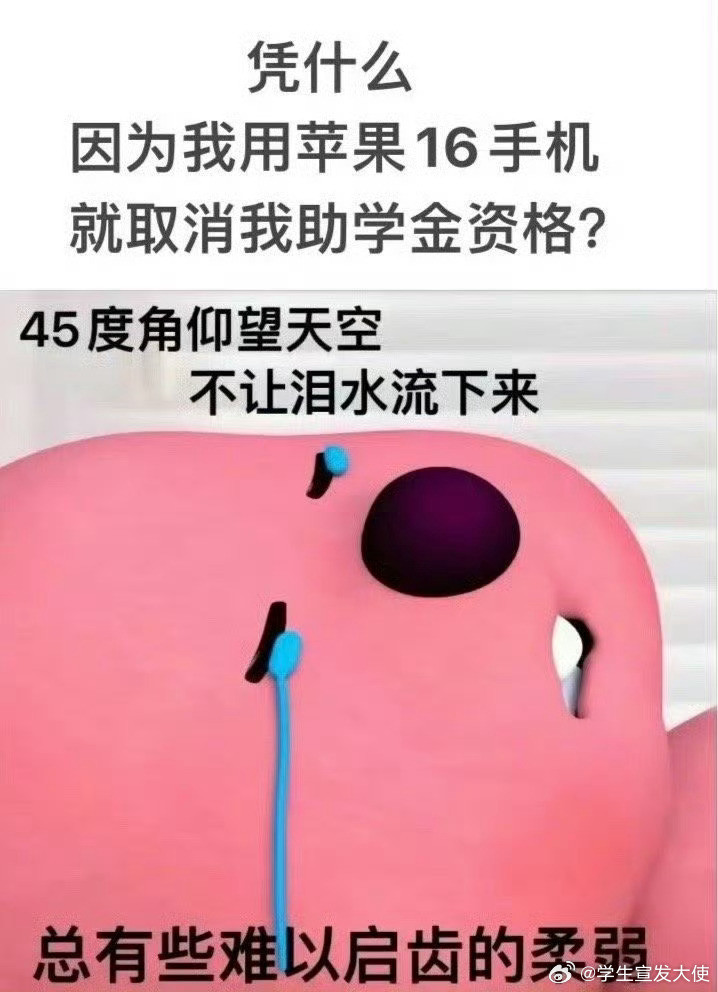 为什么取消我助学金校园共创计划