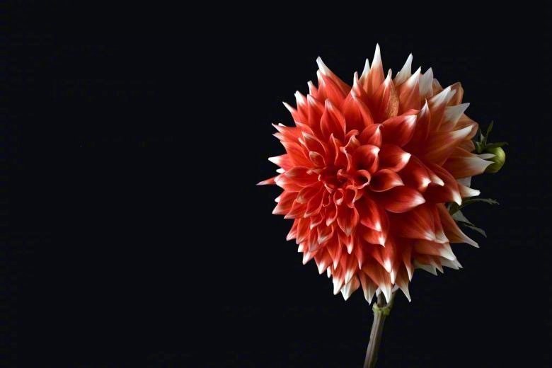 人的喜悦，是因为获得了满足；满足，是因为内在的生命获得了丰富的感受和体验；丰富的