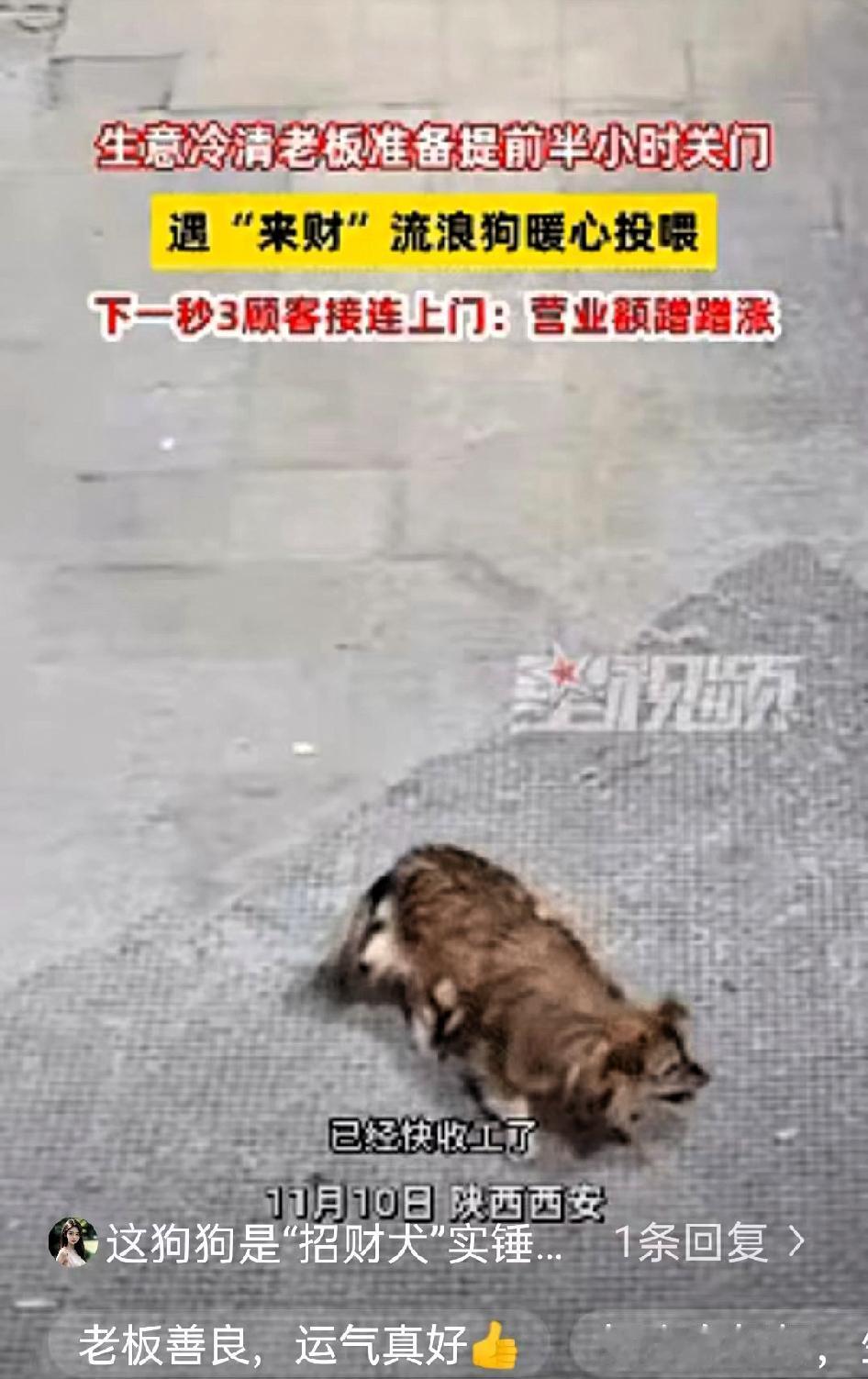 科学也解释不清了！近日陕西西安，老板看没有生意，就打算提前关门，关门时发现门口有