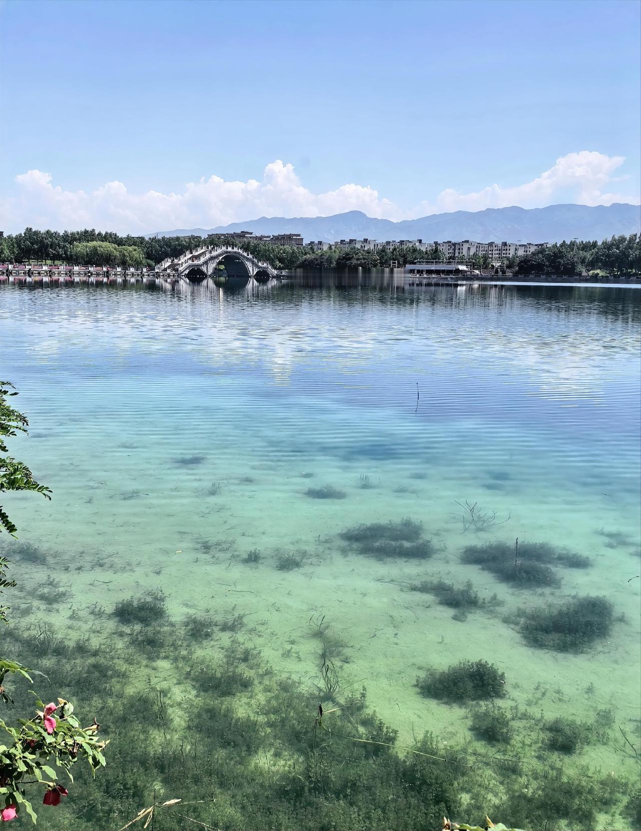 很多朋友不理解我为何逃离深圳。这几年自驾旅居，让我更钟情于远离大城市，融入小城市