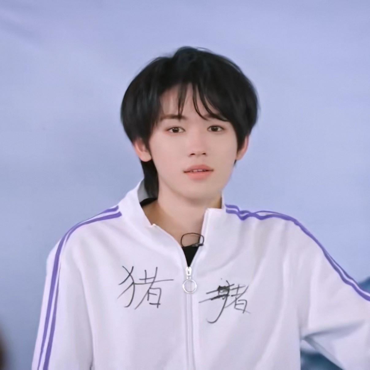 猪猪来啦～小猫咪来啦～