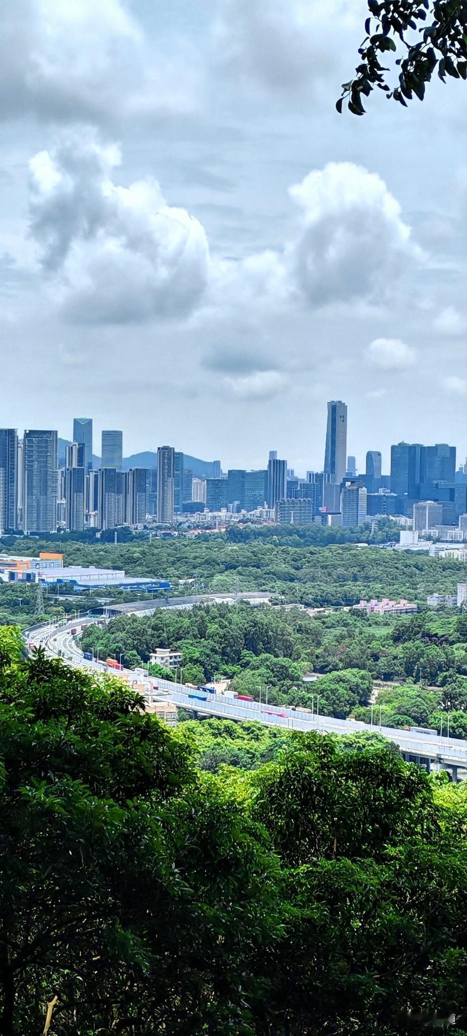你看我这六亲无靠的命。刚刚隔壁的黑龙江老乡来和我告别了，明天她就不干了，去北京说