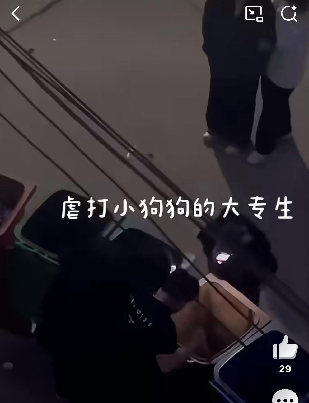 一大学生殴打流浪狗遭遇学校批评，真相是大学生被流浪狗咬，气愤不过，在座各位觉得大