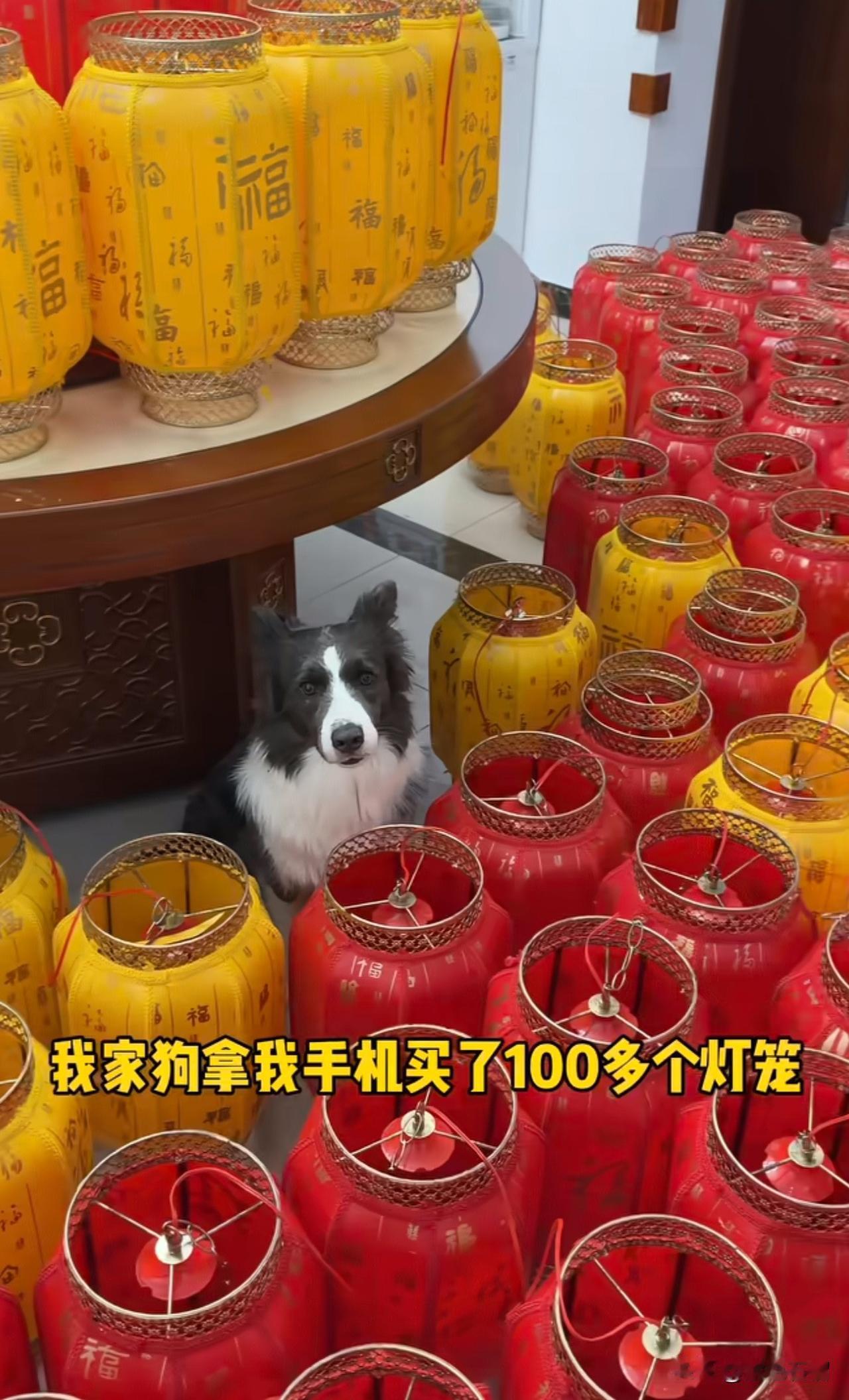 真的要笑疯啦！吉林有位女子瞧见邻居新买的灯笼特别好看，也想买两个