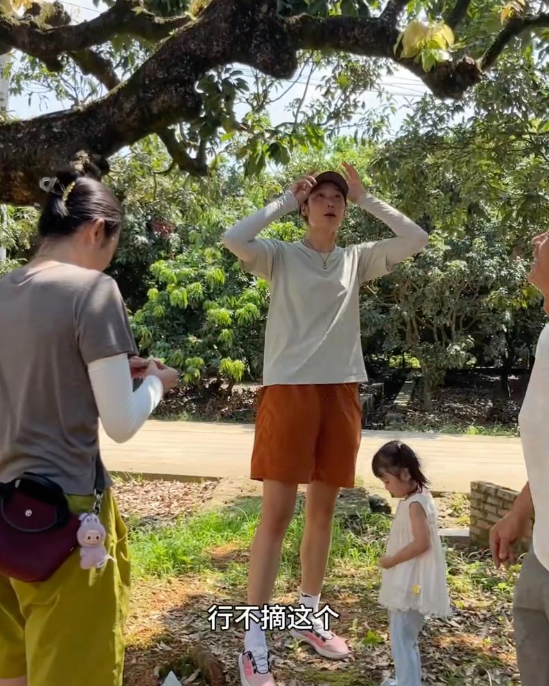 无缘中国女排国家队比赛！一姐朱婷和姚迪现身茂名独家摘荔枝，将近2米身高不用梯子直