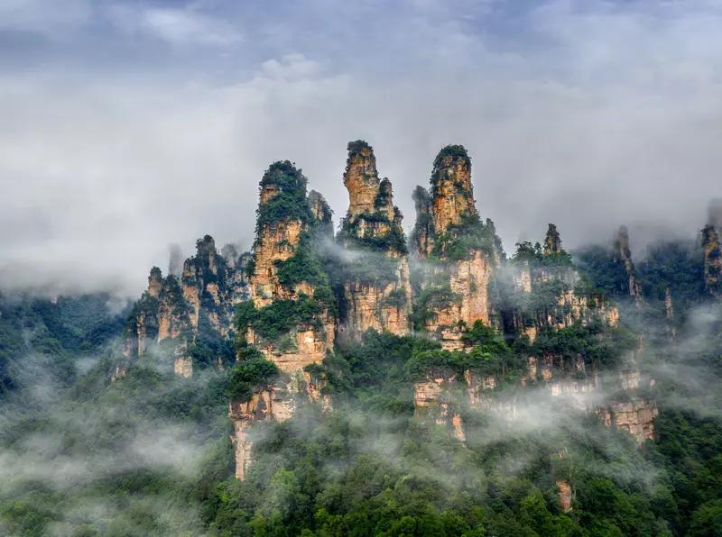 贵州选手“小贝尔”龙道锦在张家界荒野求生挑战赛中坚持25天后退赛。他编号60号，