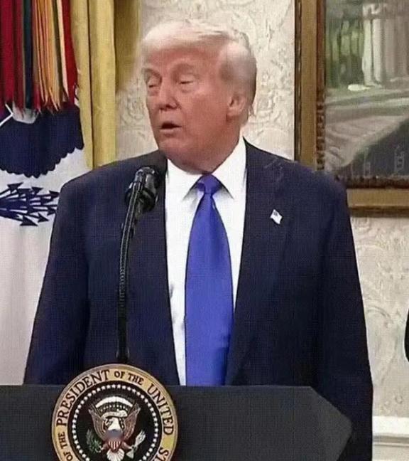 特朗普说了实话，二战胜利跟法国没什么关系，法国是最先投降的，我是真搞不懂，一个在