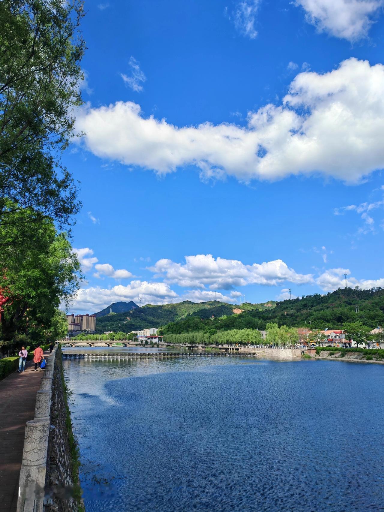 今天随手一拍，就捕捉到了夏天超绝的美景！抬头是蓝蓝的天，像被水洗过一样澄澈，白