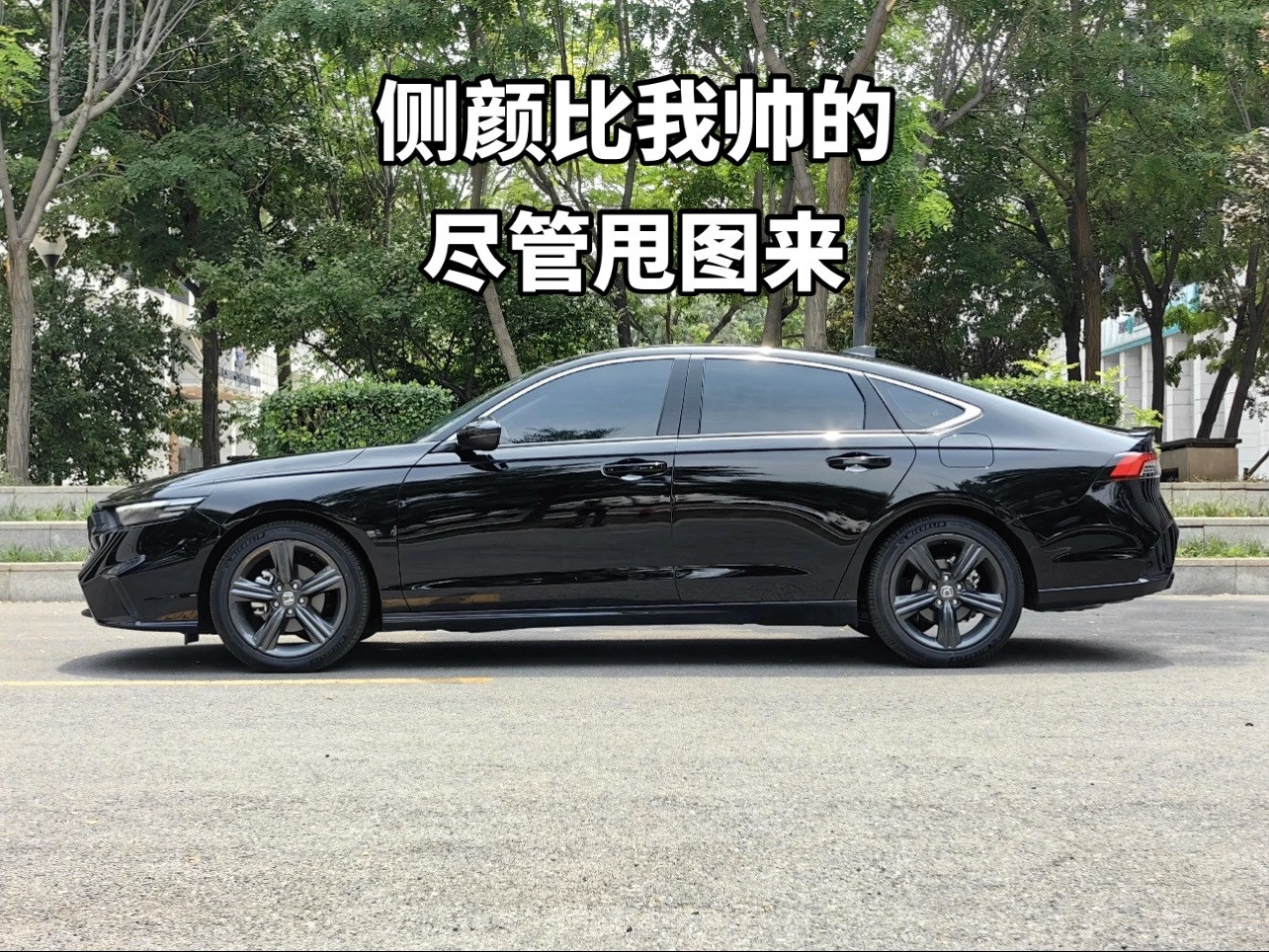 B级车最帅的侧颜，不服来图！爱车怎么拍高级感分享一张你爱车的照片晒出你的座驾dou是好车