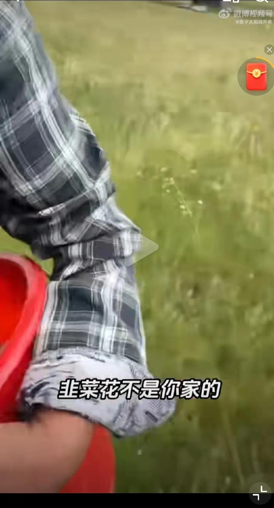 你没立牌子告诉别人不能采，我们就可以进来采。呼伦贝尔一牧民发现，自己家用铁丝