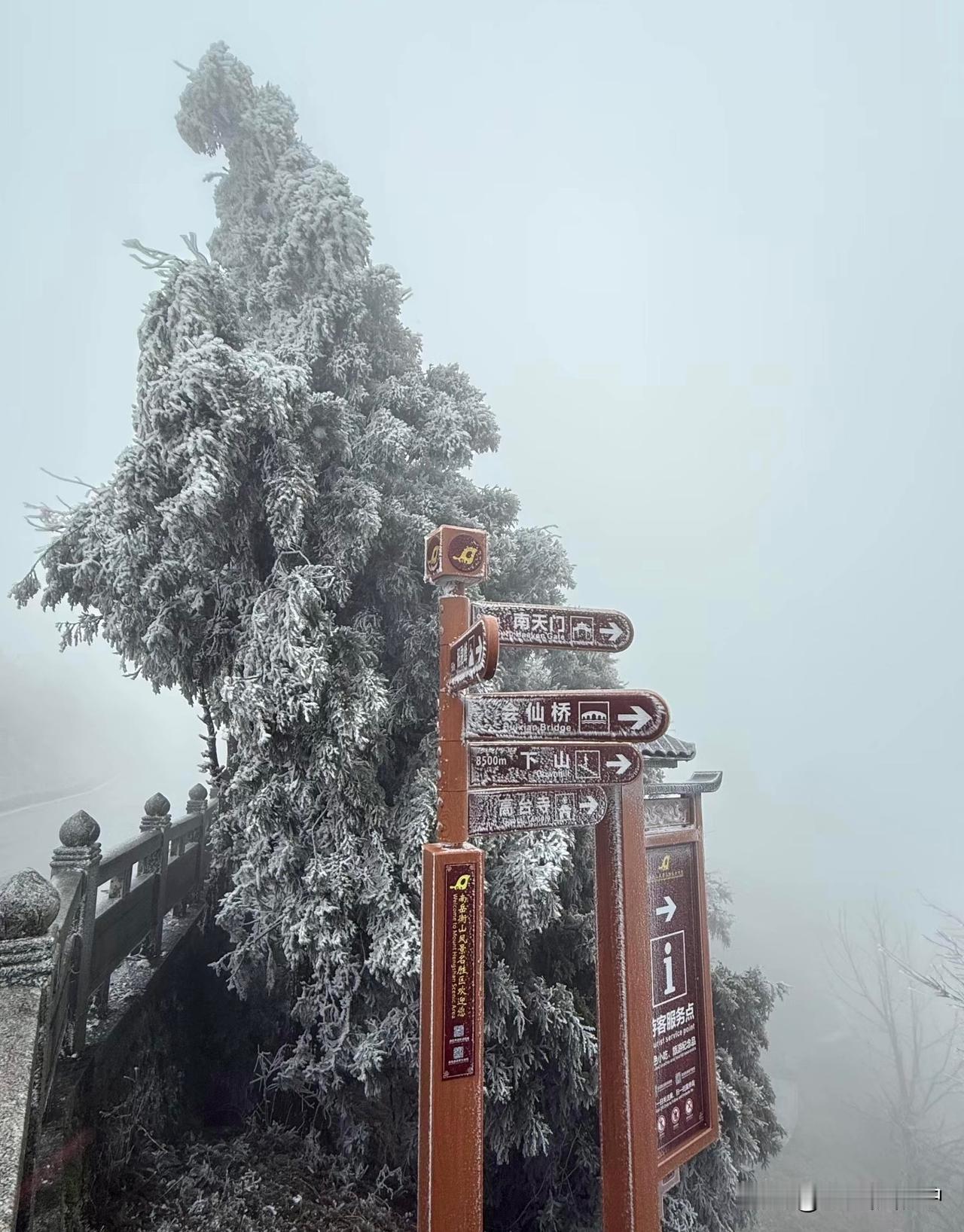 多年前登过华山，一直对五岳心怀向往，今年春节特意来爬衡山，结果全程失望，体验感真
