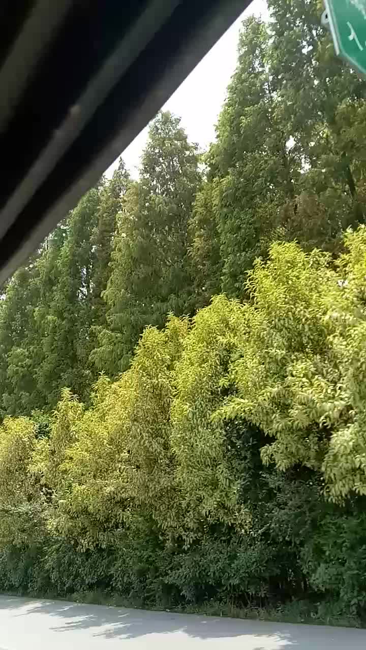 涡阳高公镇人口