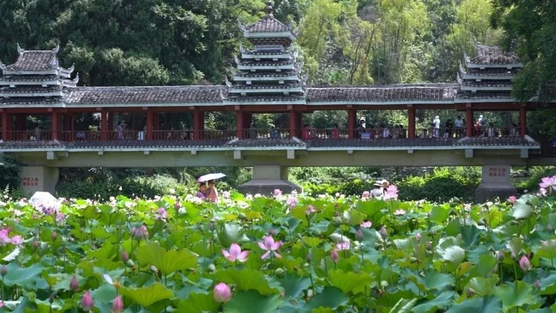 南明区: 四季有花绘美景 绽放文旅新活力