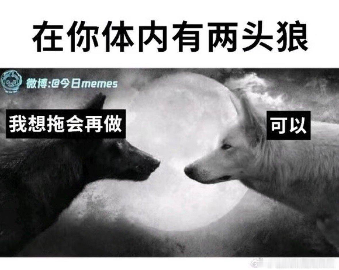 我们拖延症就是只有到最后一天才会赶命发的。。请原谅！