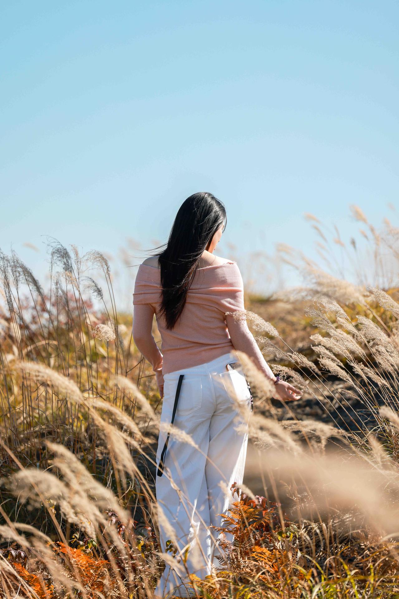 风把秋草吹成一片蓬松的金，蓝天是最干净的背景板——这大概是秋日户外拍照最舒服的状