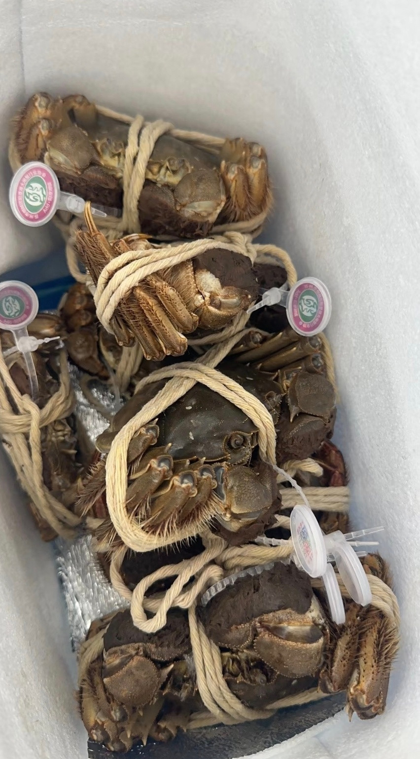 住四人间，妈妈寄了8只螃蟹不想分给不熟的舍友吃，但又要在宿舍煮，自己嘴又馋，该怎
