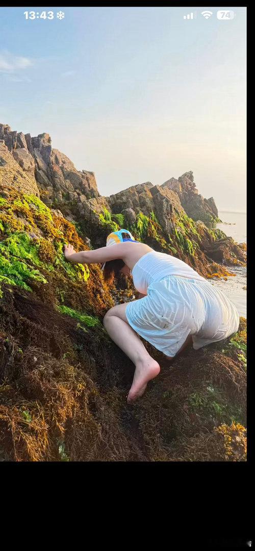 赶海！