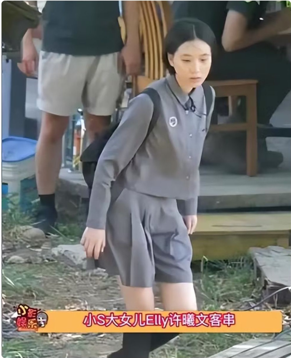 小S大女儿接受采访！化淡妆双眼皮、大长脸很土，称因为大S才演戏