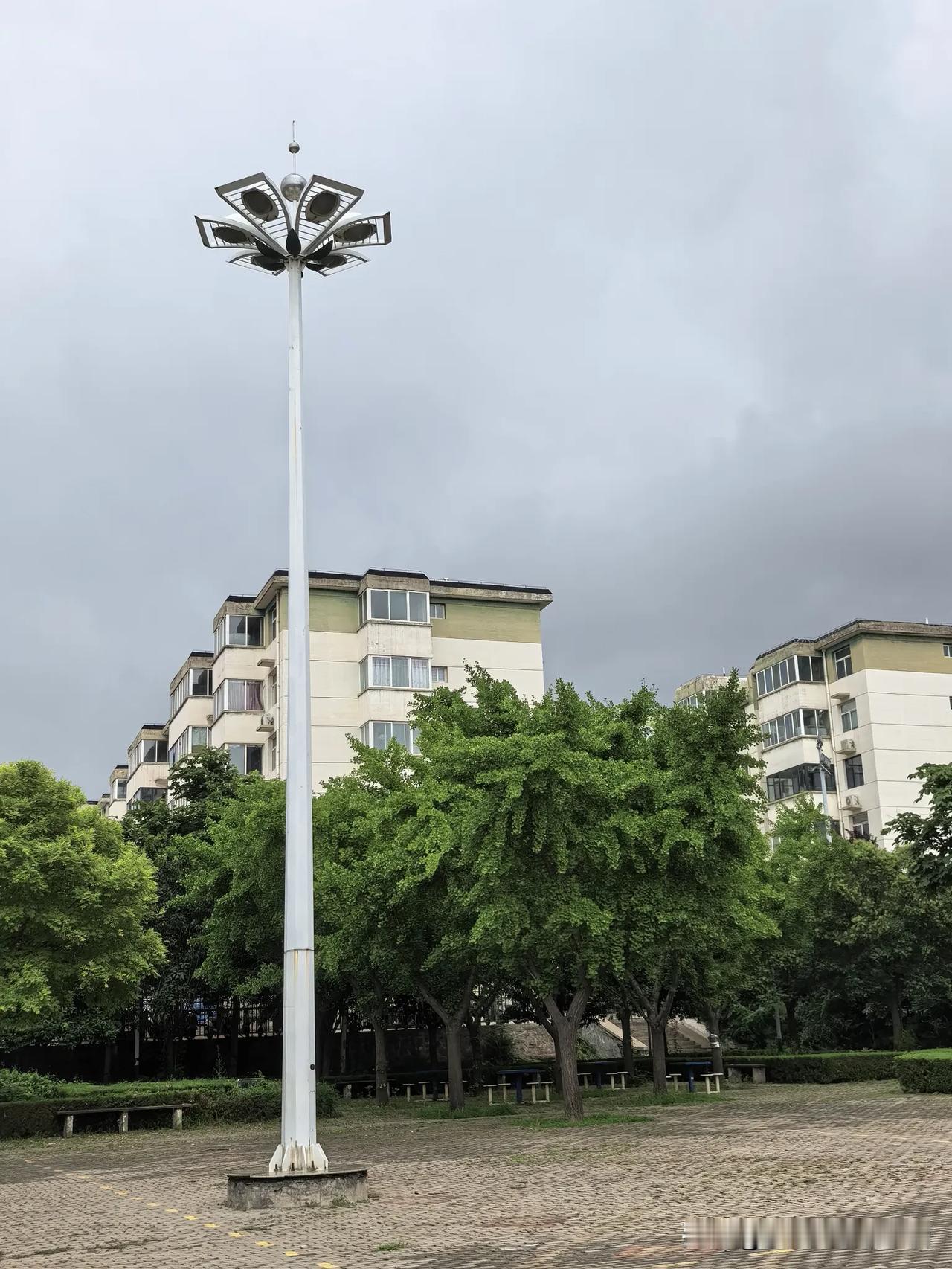 昨天早上10点半，侄子打电话说计划来我家，我立刻来句：现在？侄子笑着说，有困