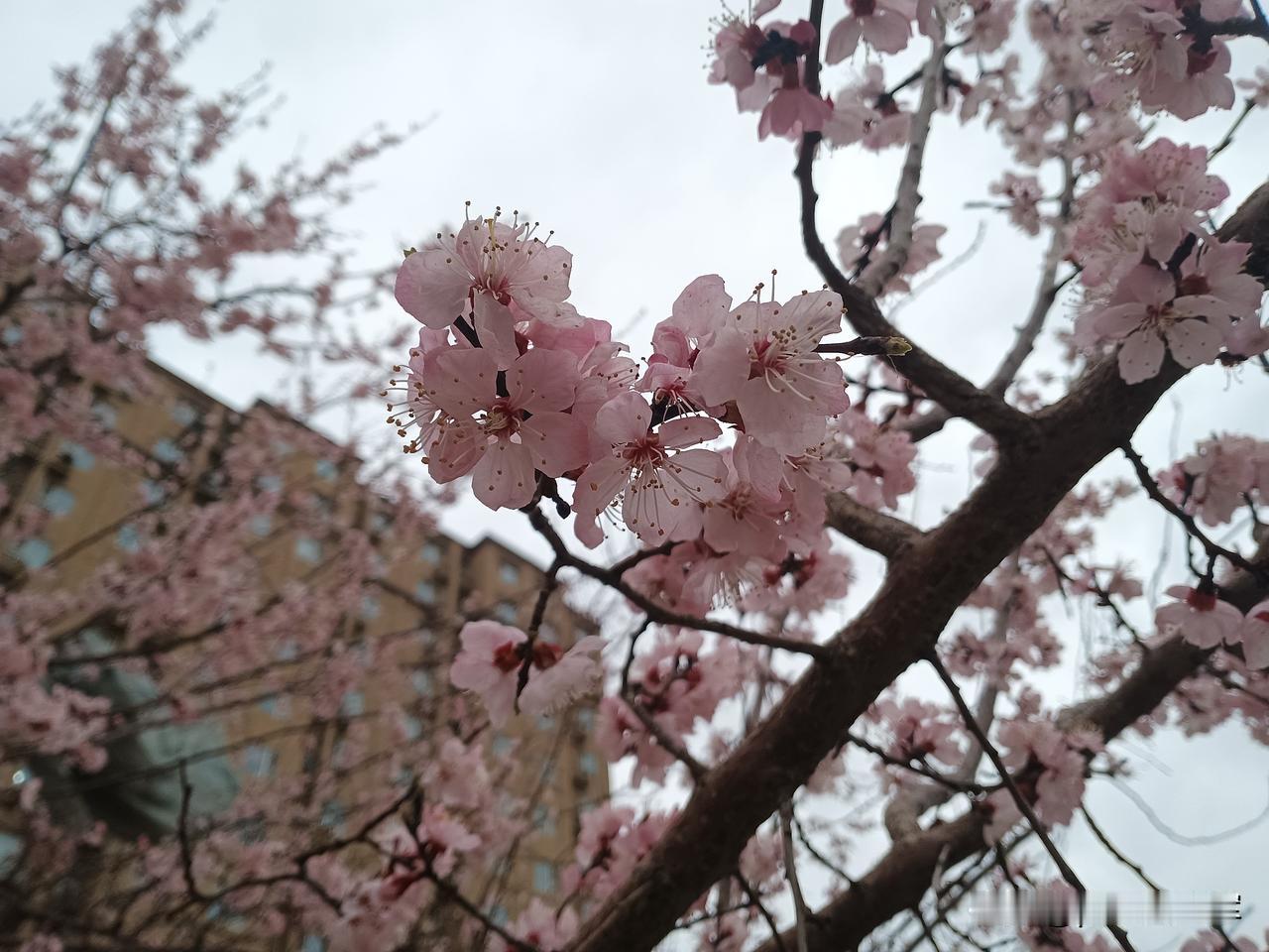 我的一天昨天晚上睡觉前吃了安眠药，有时吃安眠药也不一定有效，还是熬到半夜一点才