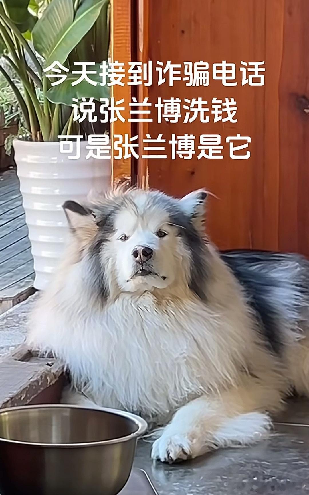 这年头诈骗电话都不需要背调的吗？[捂脸哭]​​​