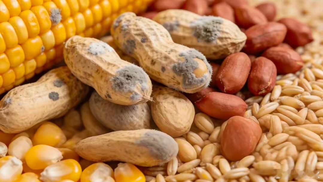 忌口清单天天和恶毛病打交道的肿瘤科医生，他们的“忌口清单”是什么？如何既吃得有滋