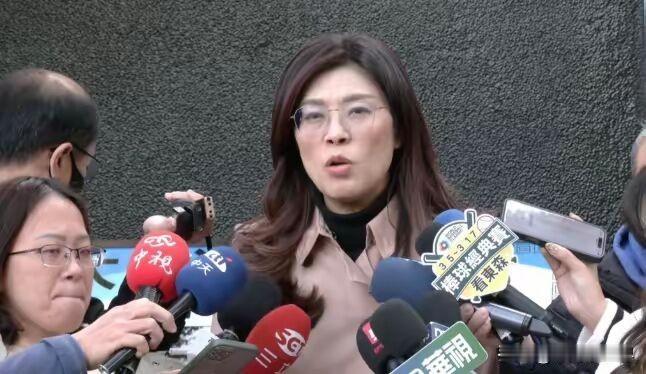 郑丽文一句话，蓝营内部直接炸锅了。她对着镜头说“我们不要香港那一套”，结果刚出录