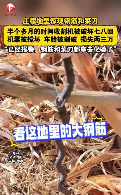 “严查到底!”2025年10月,吉林德惠,一男子开收割机收自家地里的粮食,结果多