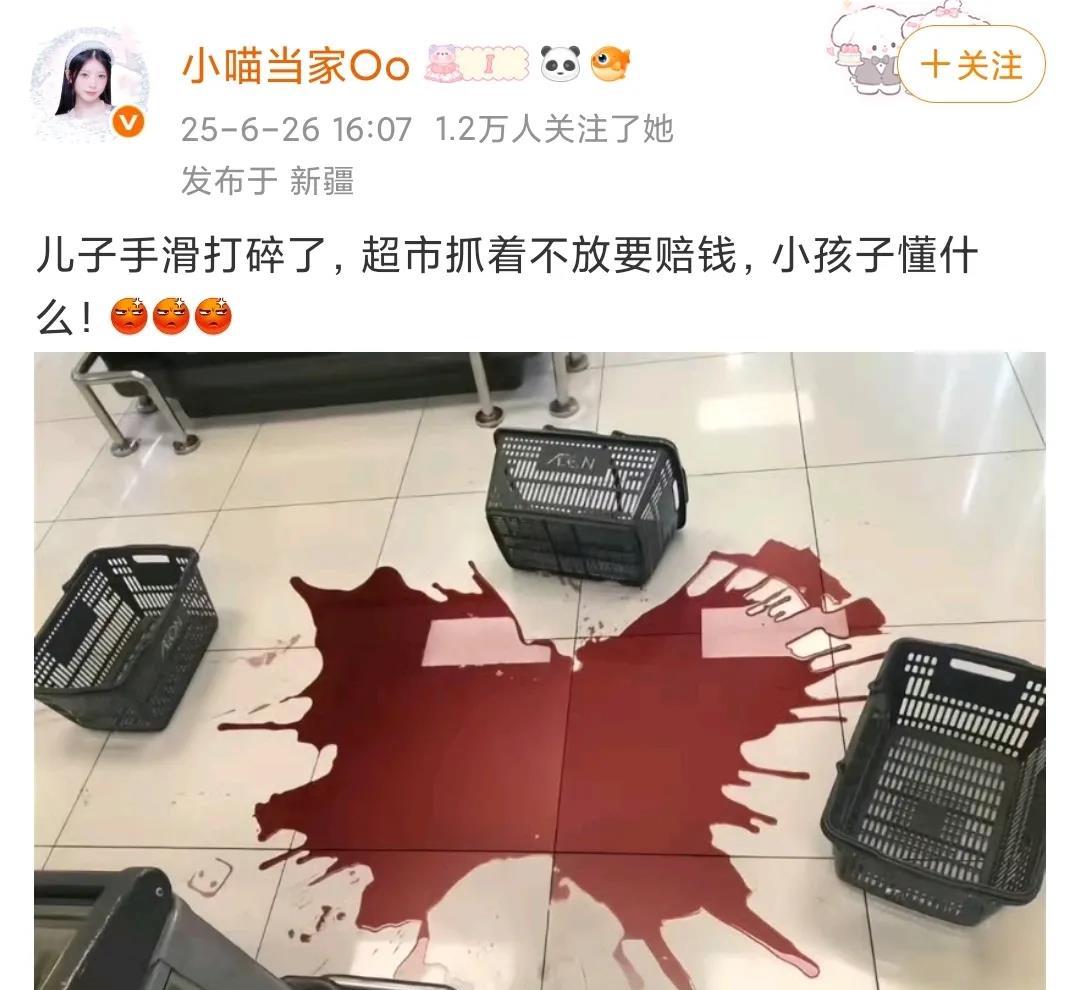 这位家长嘴硬的程度堪称天花板，始终一句话：孩子还小，不懂事，不小心摔碎为何要赔偿