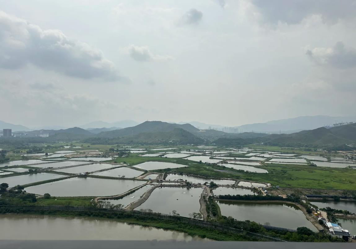 深圳福田南华村棚改刚交房，又叫御水华府，立马成交了2套： 2-5-1604，12