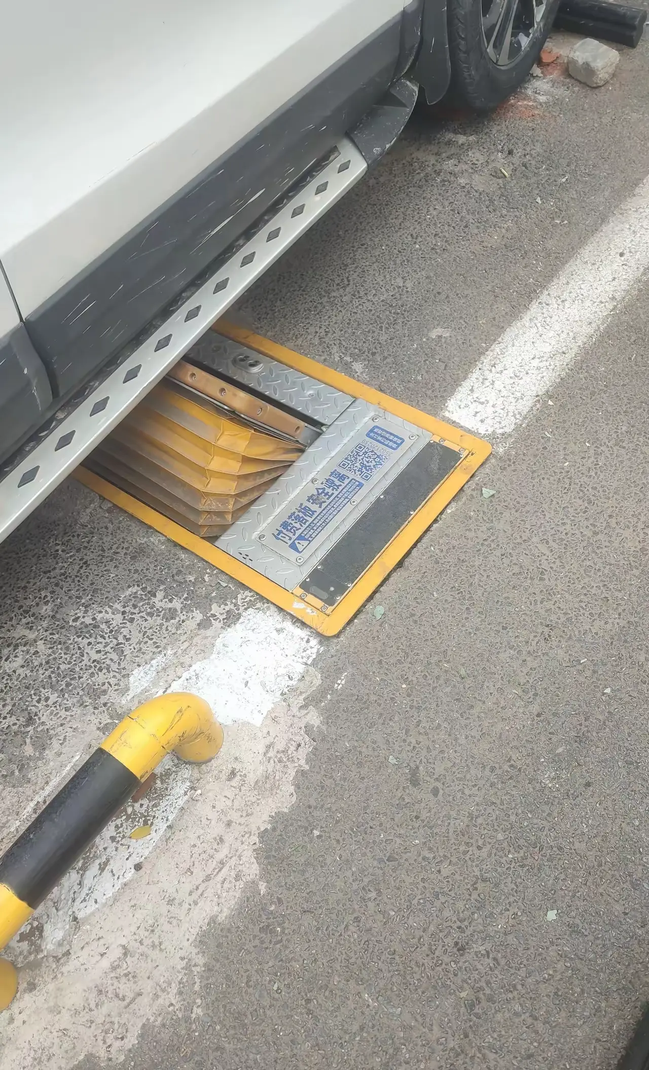 研究这些喝血的东西可真快
