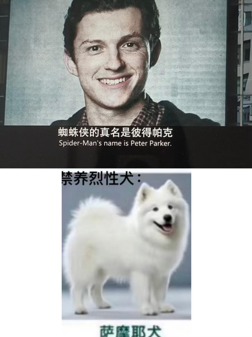 把这两张图联想到一起的是天才吗​​​