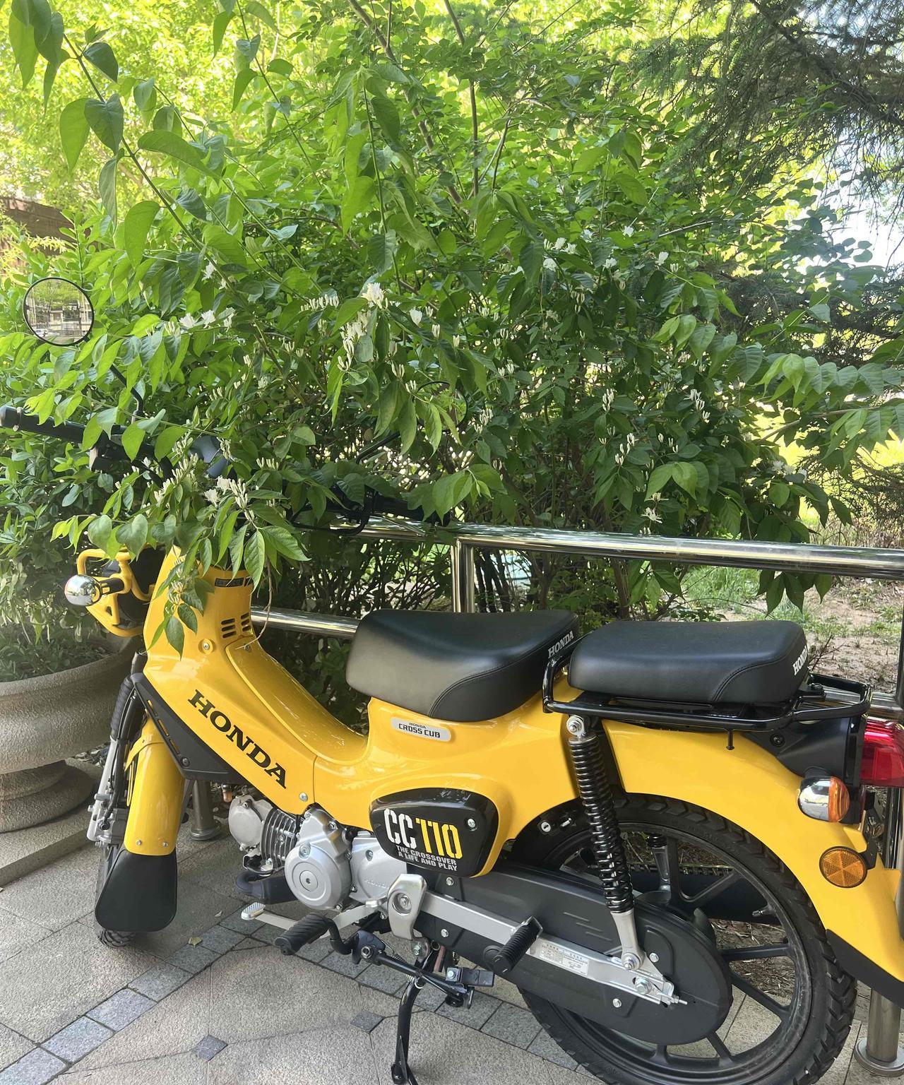 幼兽110摩托车，加20元92号汽油，能跑200公里，平均一公里一毛钱。跑不快，