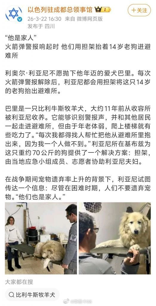 【家奴不如狗】一名美军的妹妹发帖说她哥哥在以色列的沟壕里给她发消息，说以色列不准