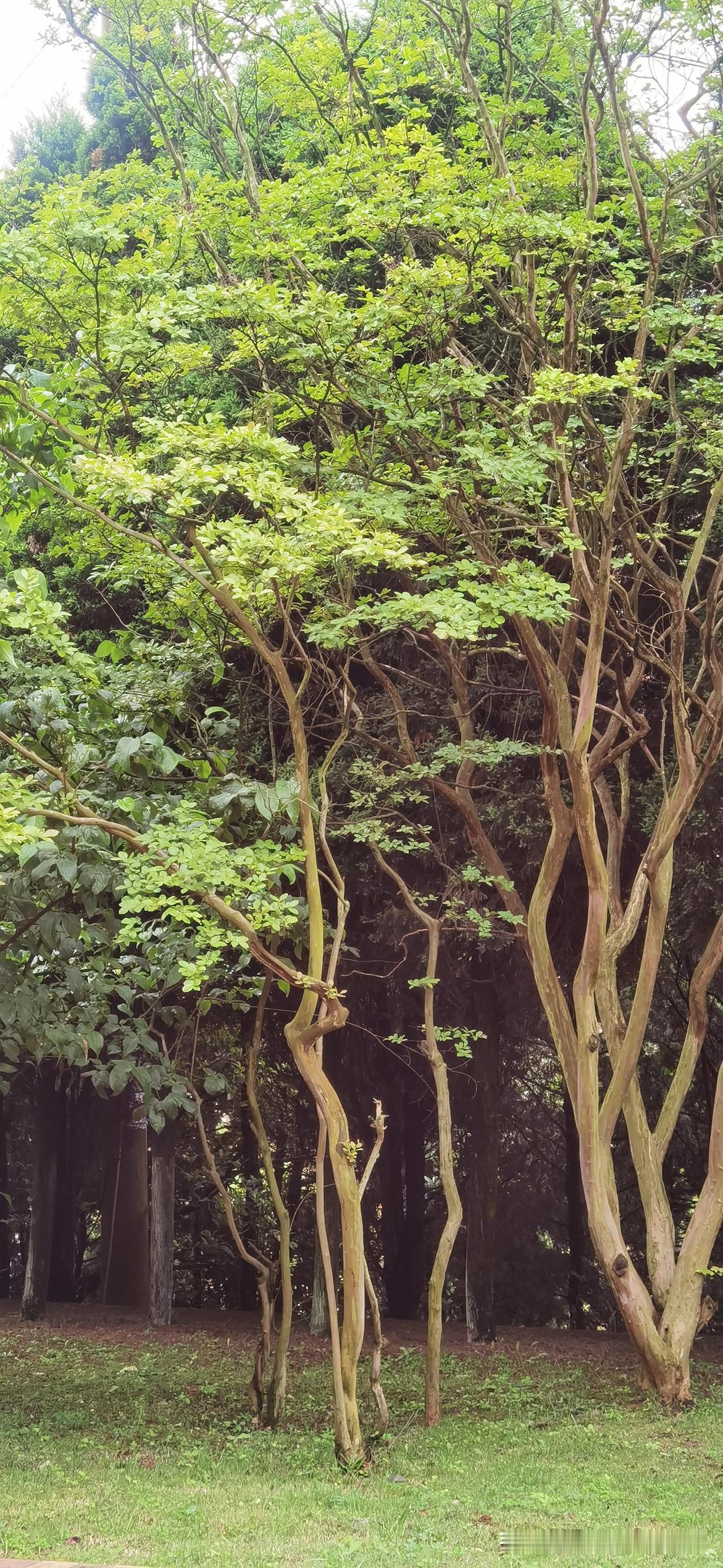 其实一个女人最大的心死，就是人到中年才彻底明白，自己嫁了一个既扛不起事，又极