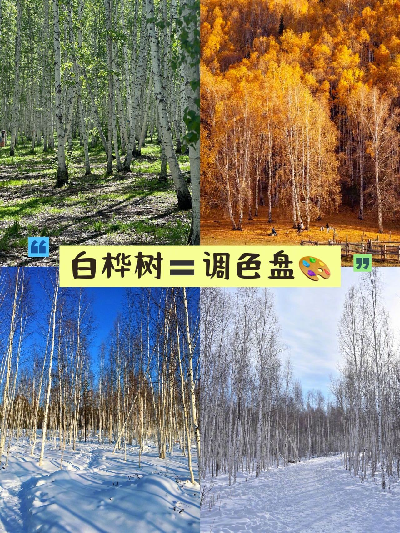 原来植物界早就开始上一休二漠河不止有舞厅还有山神的眼泪最严苛的环境造就最纯净的馈