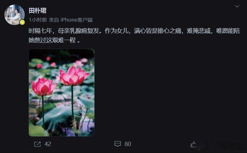 田朴珺田朴珺发文说妈妈的乳腺癌复发了。早在2018年妈妈就确诊过，当时她痛苦得