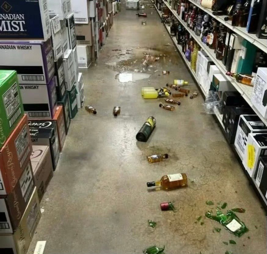 小浣熊偷喝商店烈酒后醉倒在卫生间还挺讲卫生，知道要去厕所吐。