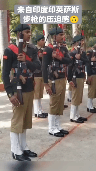 这是印度所谓的国产“英萨斯”自动步枪？它号称是:世界上性能最好？最先进的自动步
