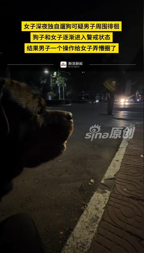 “笑不活了！”6月6日，河南，一女子深夜遛狗，半路上狗狗渴了，女子蹲在路边，拿出