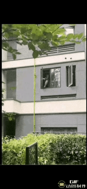 我就是为了尝口鲜，容易吗我？