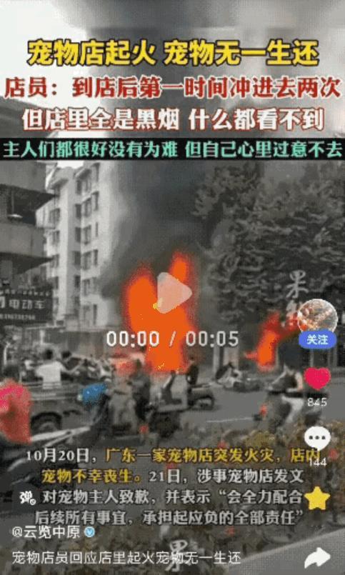 破防了！广东普宁经营6年的宠物店失火，一屋毛孩子全没了，店员两次冒死冲进去救
