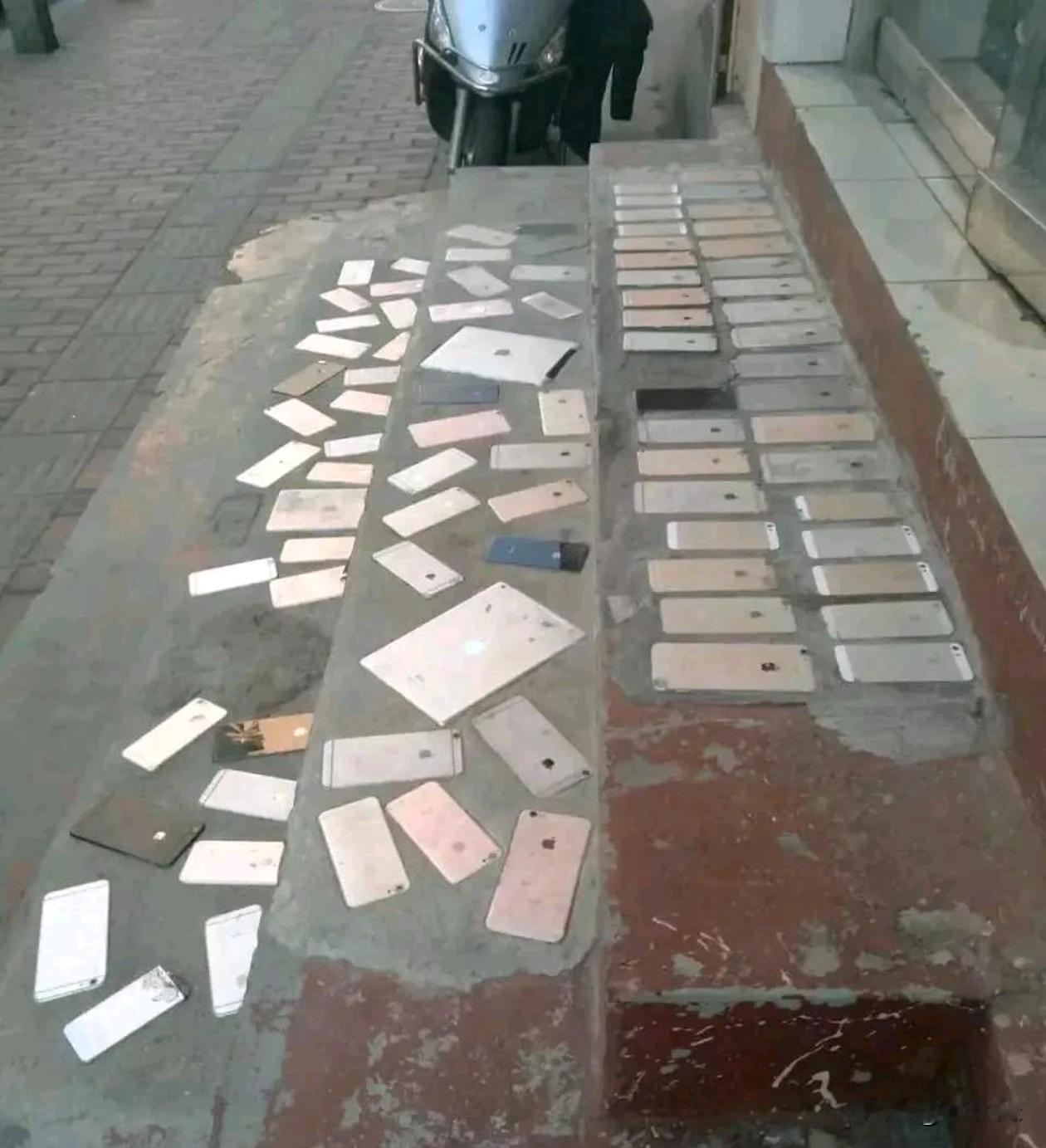 这是我们南方的地板砖，想看看北方的。