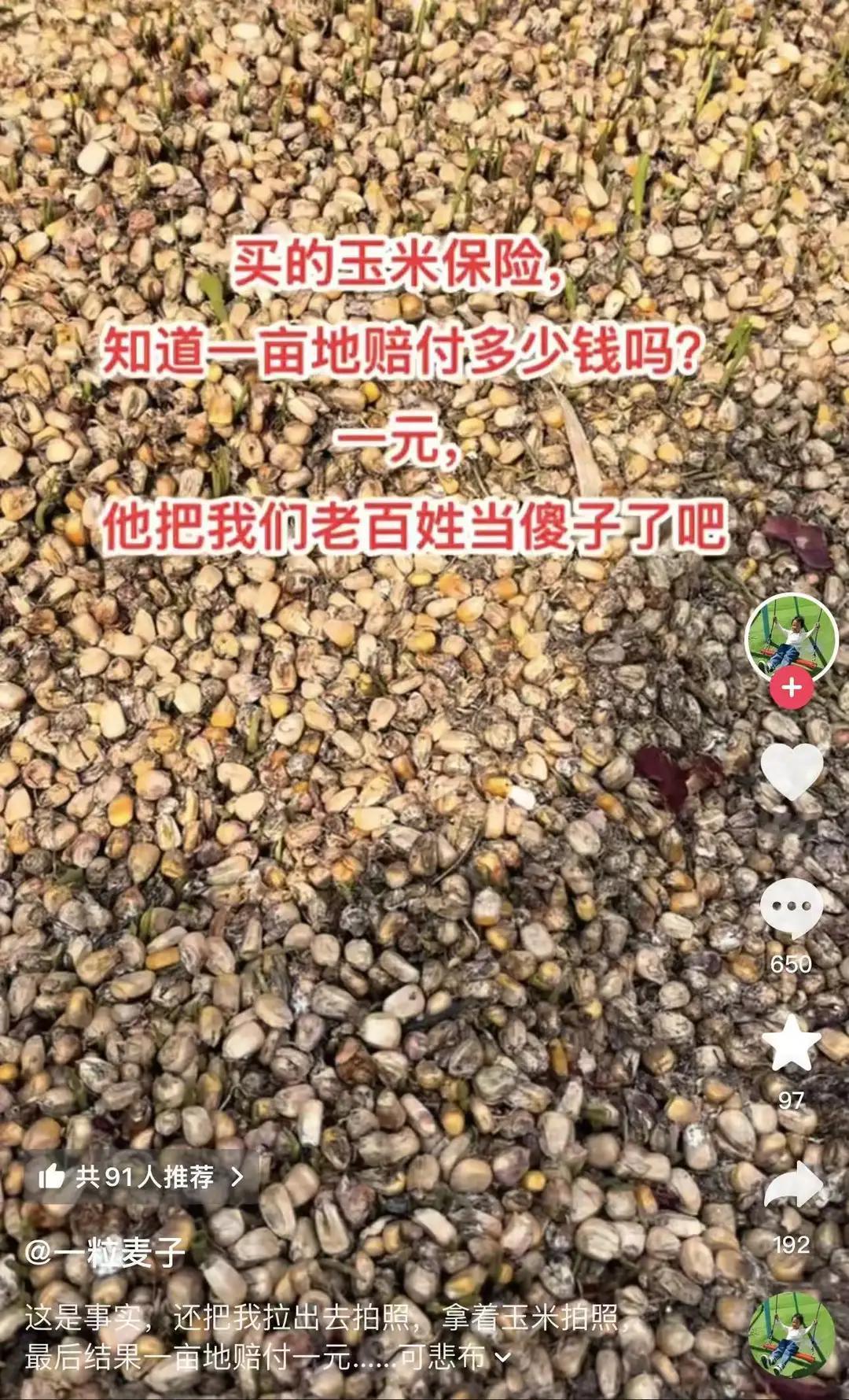 河南网友称自己买了玉米保险，结果一亩地才赔付一元玉米保险一元赔付：农业保障不能成